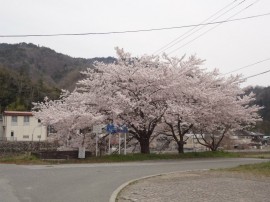 140413_104017