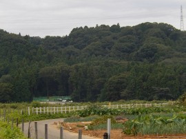 140920_095908