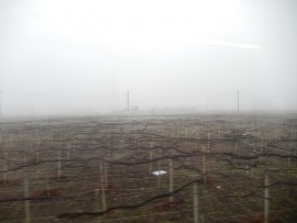 141230_091532