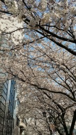150330_140515