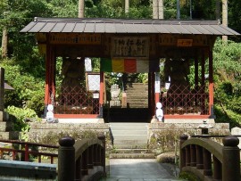 DSCN0246