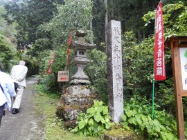 DSCN0248