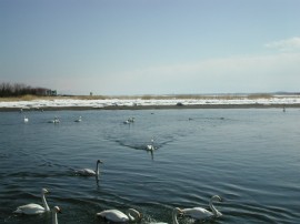 DSCN0342