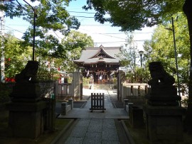 DSCN0352