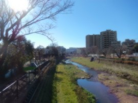 DSCN2216