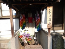 DSCN2517