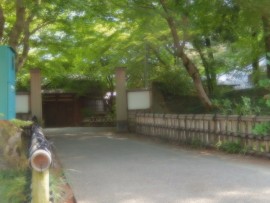 DSCN3142