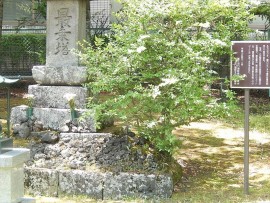 DSCN3435_R
