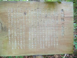 DSCN3554