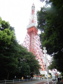 DSCN5988