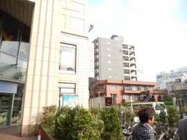 DSCN6930