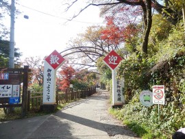 DSCN7154
