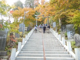DSCN7160