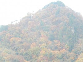 DSCN7161