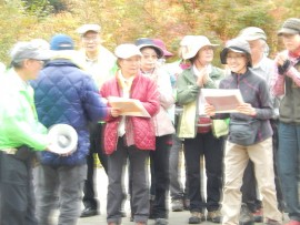 DSCN7176
