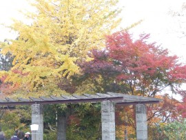 DSCN7185