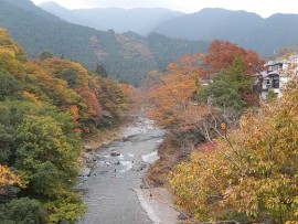 DSCN7187