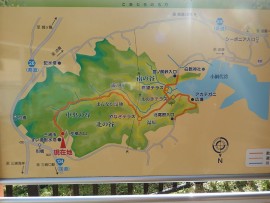DSCN7419