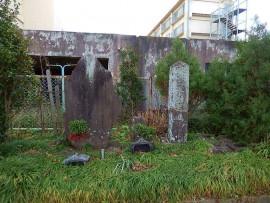 DSCN7842