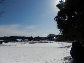 DSCN8254