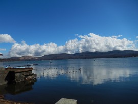 DSCN8764