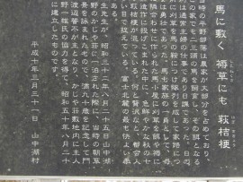 DSCN8956