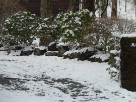 DSCN8961