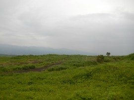 DSCN9786