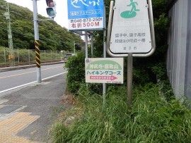 DSCN9884