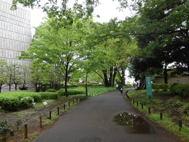 2013.04.21　【根津神社のツツジ】