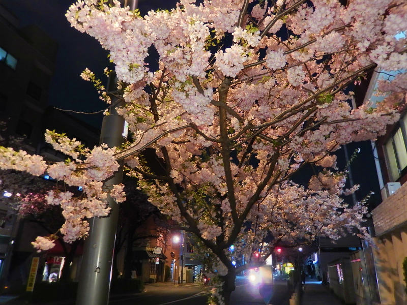 2015.04.06 【 桜新町】