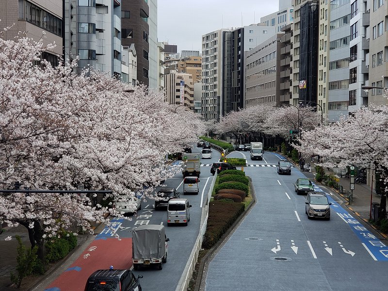 2020.03.28【渋谷橋明治通り】