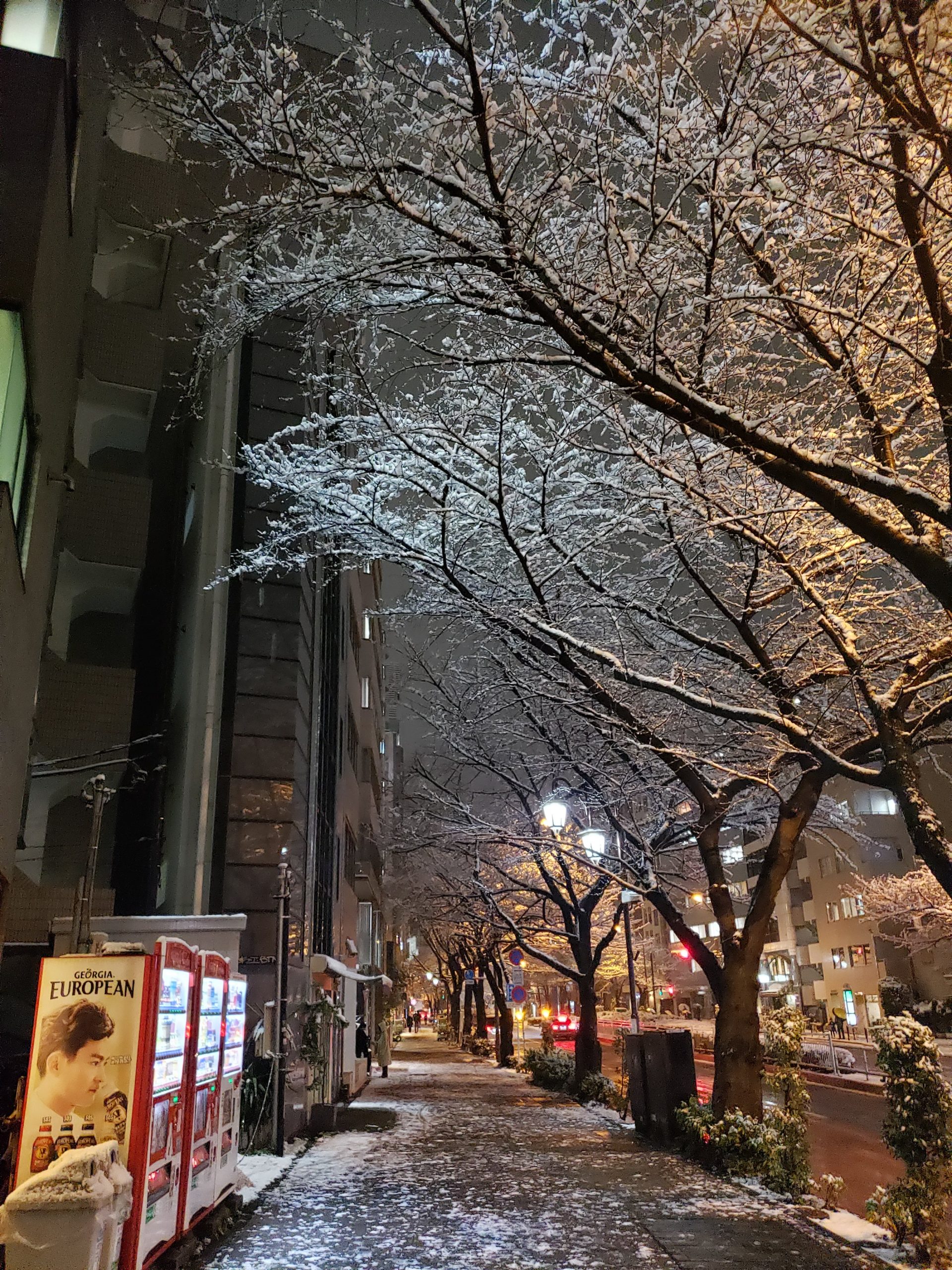 2022.01.06【恵比寿の雪】