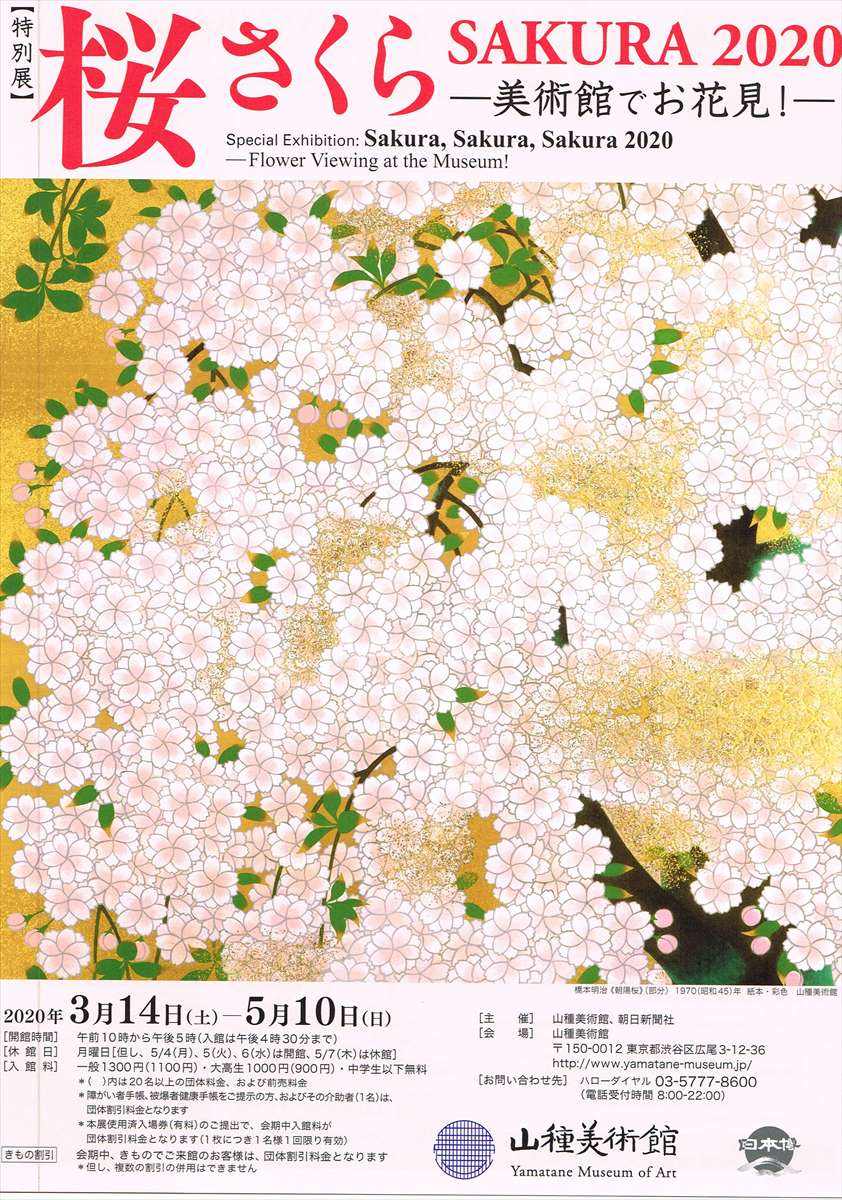 2020.07.31【桜 さくら SAKURA 2020】