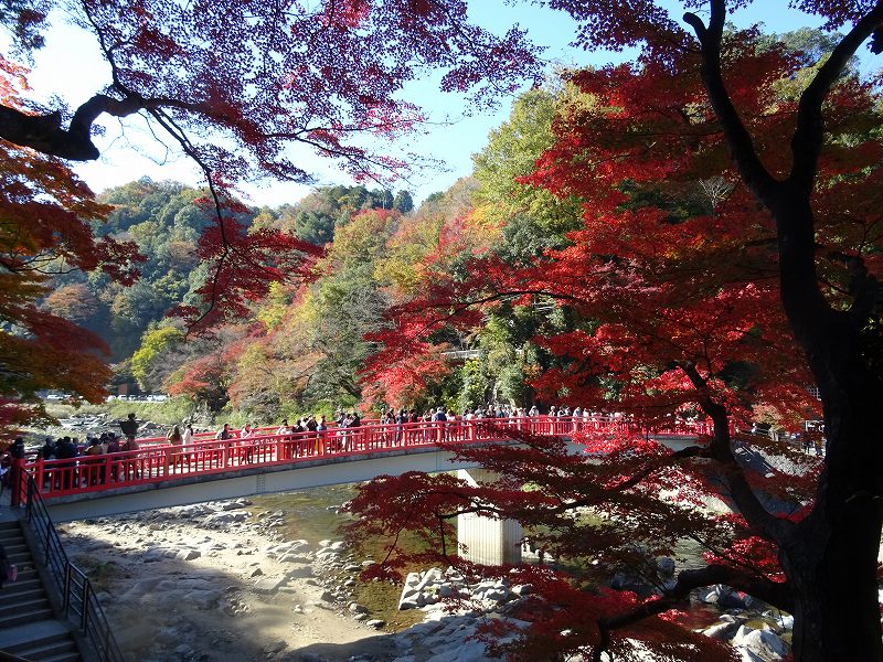 2019.11.20～21【旧中山道・香嵐渓】