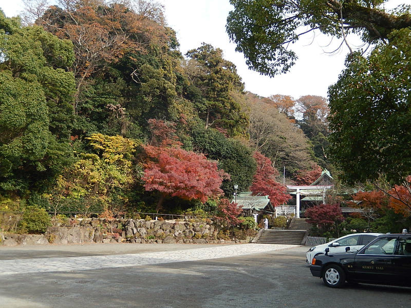 2016.12.04【鎌倉獅子舞の紅葉】