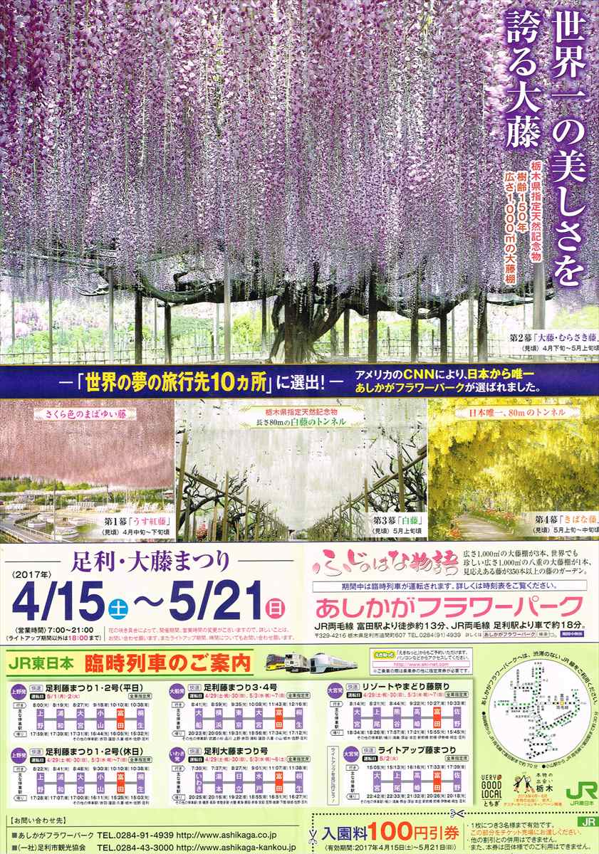 2017.05.04【足利・大藤まつり】藤の花見